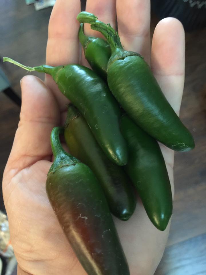 Another Harvest from Our Garden – It is so Fun to Play in the Dirt! ?