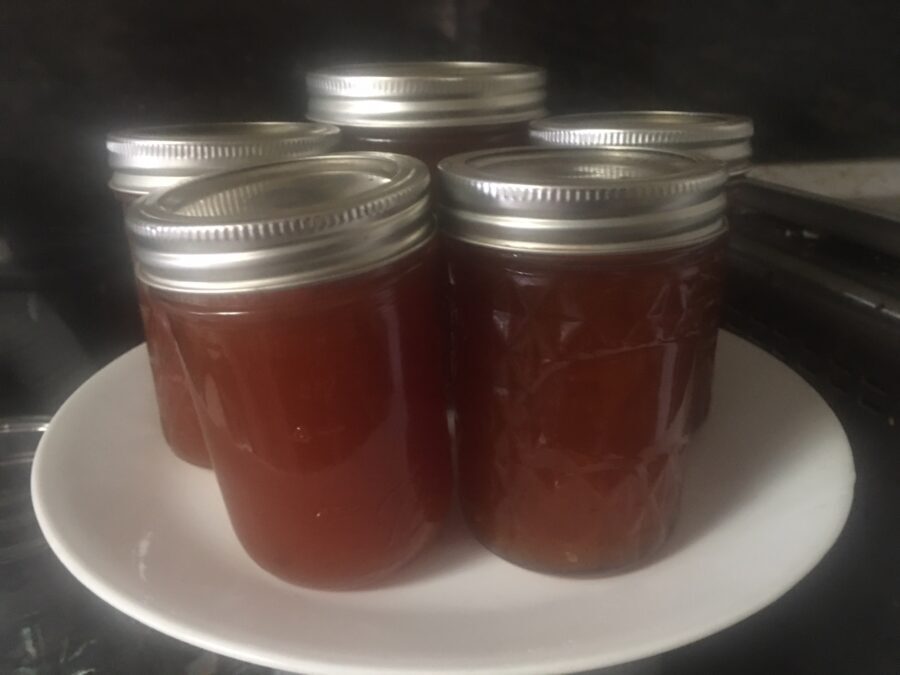 Super Easy Recipe to Can Apricot Jam !