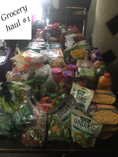 Grocery Outlet Grocery Haul