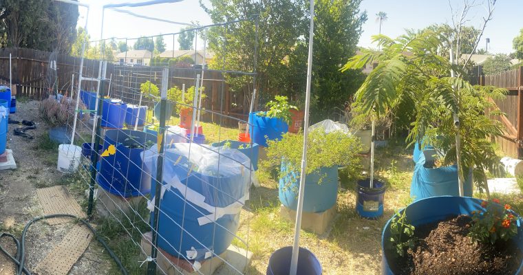 My Garden Is Up An Running.